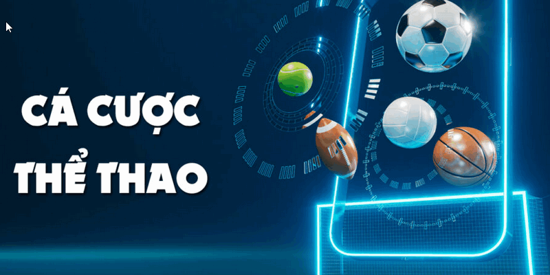 Khám phá số phận những người cờ bạc qua các câu chuyện thực tế đầy ám ảnh